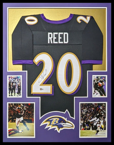 Ed reed best sale jersey for sale