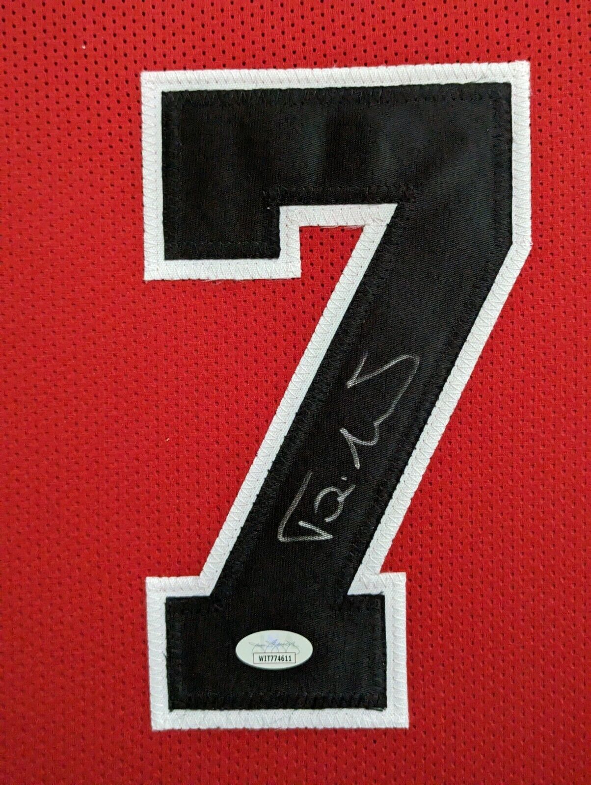 Toni Kukoc Autographed store Custom Chicago Bulls Jersey