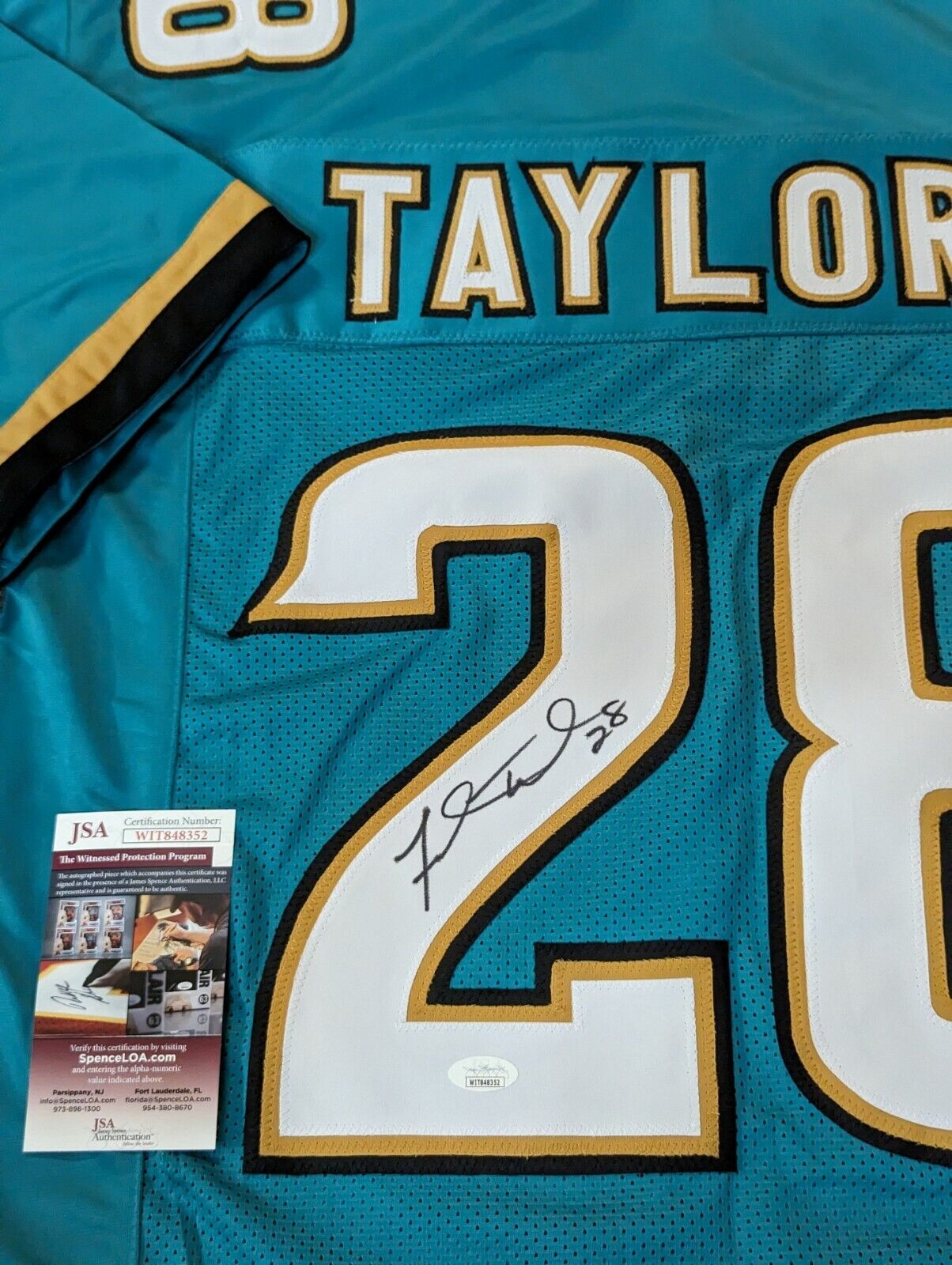 Fred taylor jersey best sale