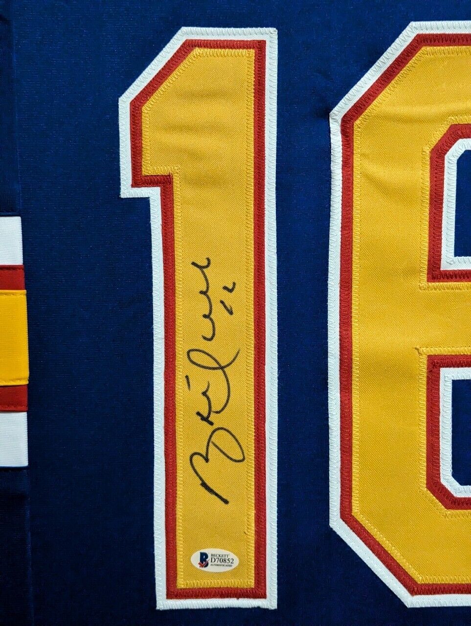 Brett hull autographed store jersey