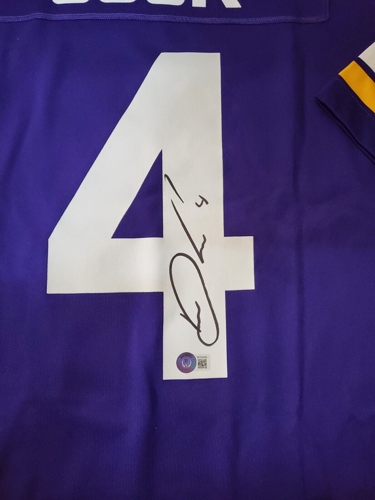 Dalvin Cook Signed Minnesota Vikings Nike NFL Replica Game Jersey (Beckett  Witness Certified)